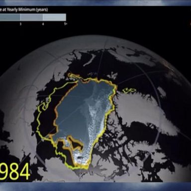 VIDEO: Arctic warming twice as fast as rest of the world