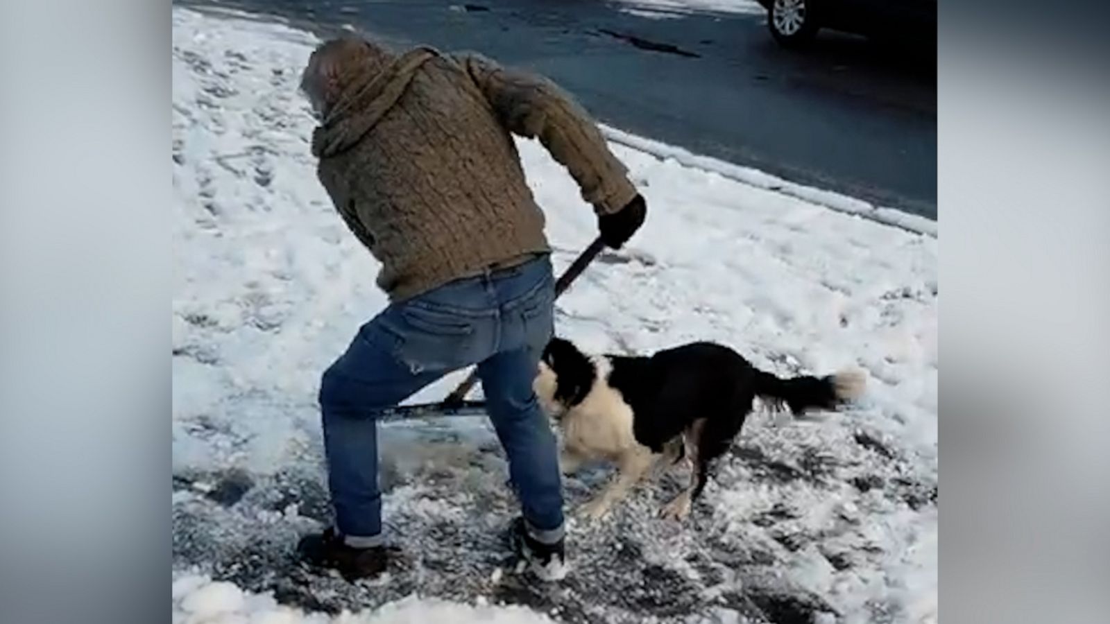 VIDEO: This dog won tug-of-war against his owner for a shovel