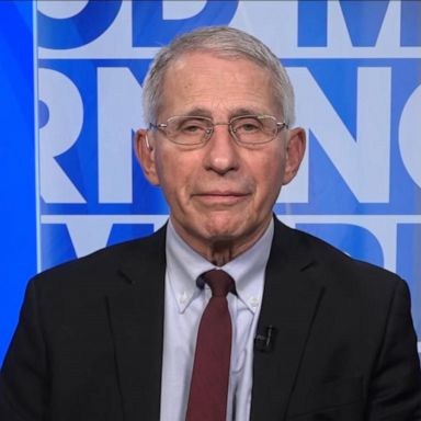 VIDEO: Fauci talks surge of omicron cases across the US ahead of holidays