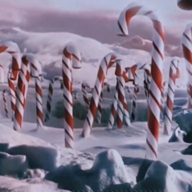 VIDEO: What are the ingredients to a perfect Christmas movie