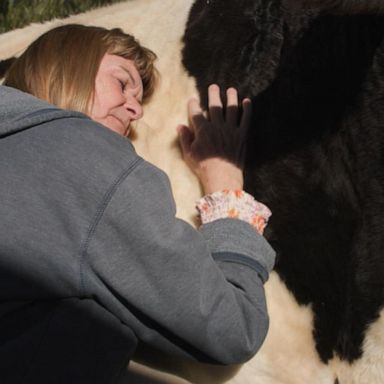 VIDEO: Improving mental health by participating in ‘cow therapy’