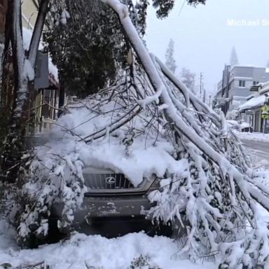 VIDEO: 25 states on alert as major winter storms sweep country