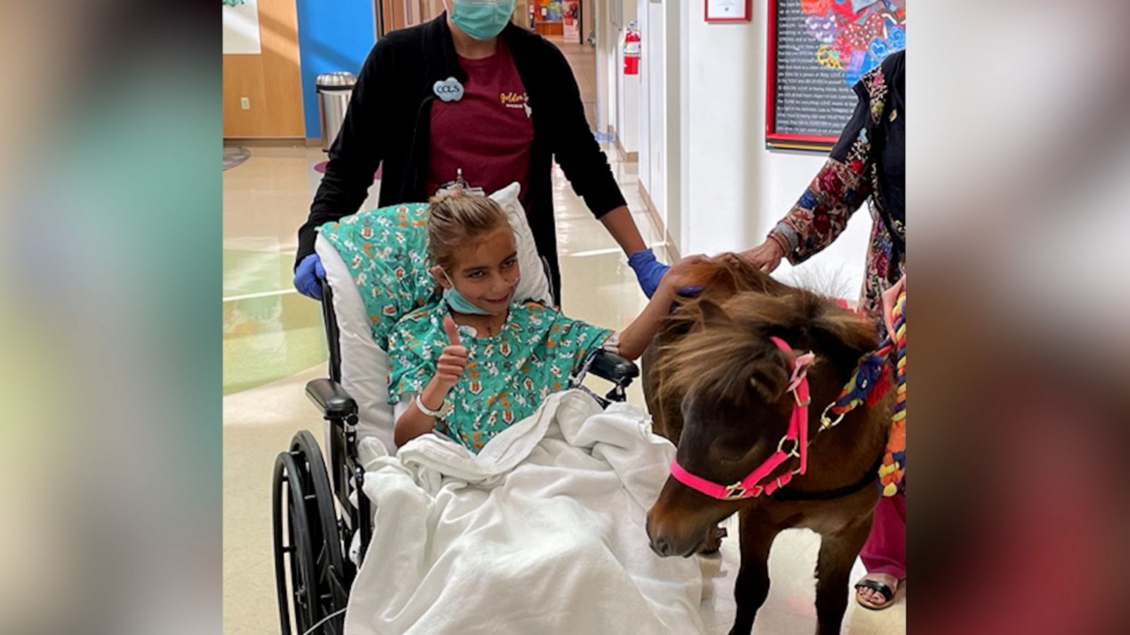 VIDEO: Meet Bambi, the hospital therapy horse putting a smile on patients’ faces