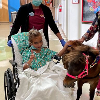 VIDEO: Meet Bambi, the hospital therapy horse putting a smile on patients’ faces