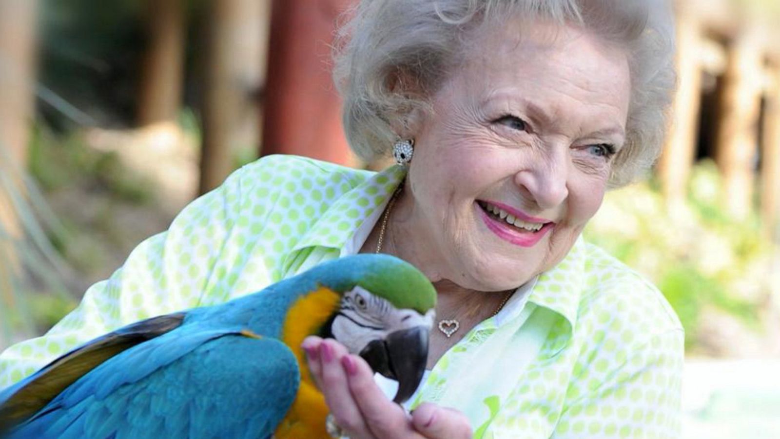 Betty White, furry friends star in 50-year-old 'Pet Set' - The San