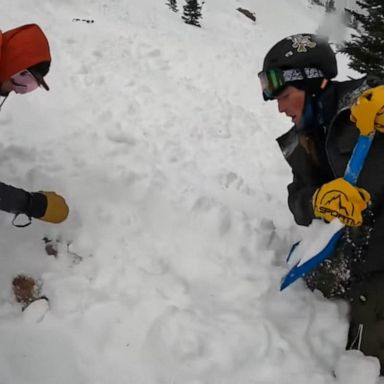 VIDEO: Skiers rescue dog trapped in avalanche