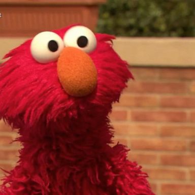 VIDEO: Elmo’s feud with a pet rock goes viral