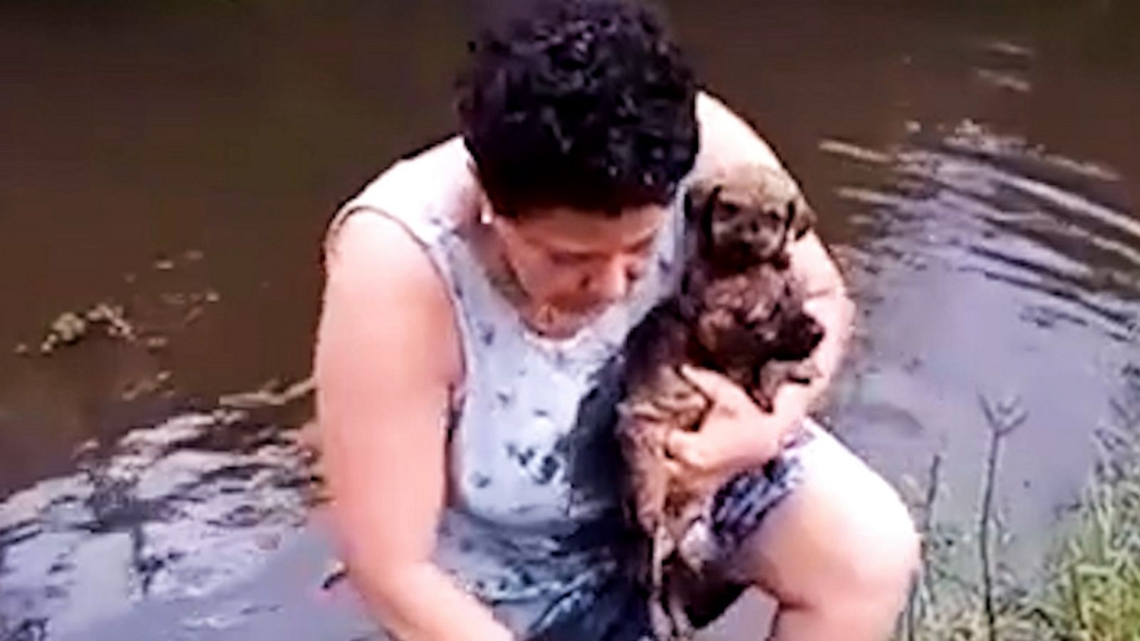 VIDEO: Couple rescues nine puppies after being dumped in Sao Paulo stream