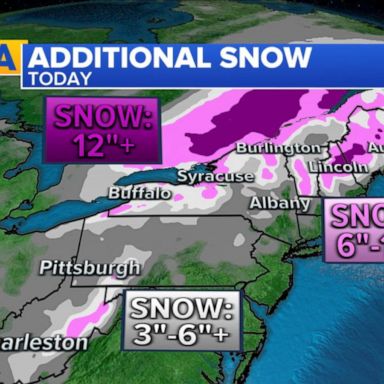 VIDEO: Winter storm brings extreme conditions to Northeast 