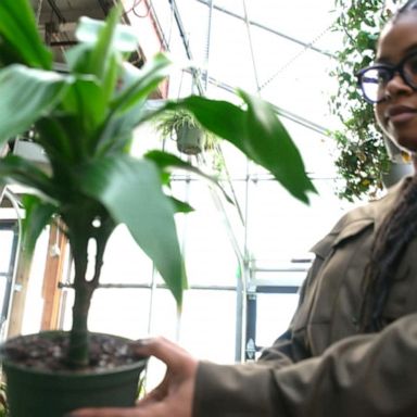 VIDEO: Brooklyn woman uses green thumb to grow a business