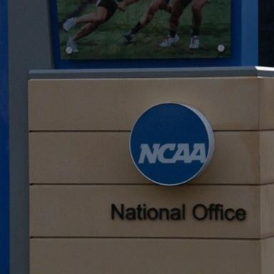 VIDEO: NCAA announces new policy for transgender athletes