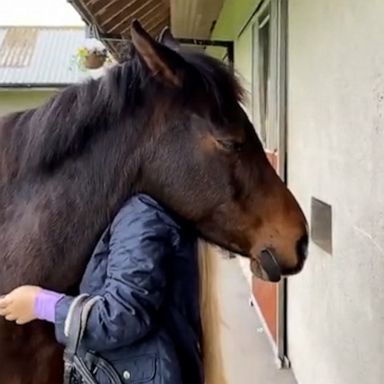 VIDEO: Horse pulls owner in for an adorable hug