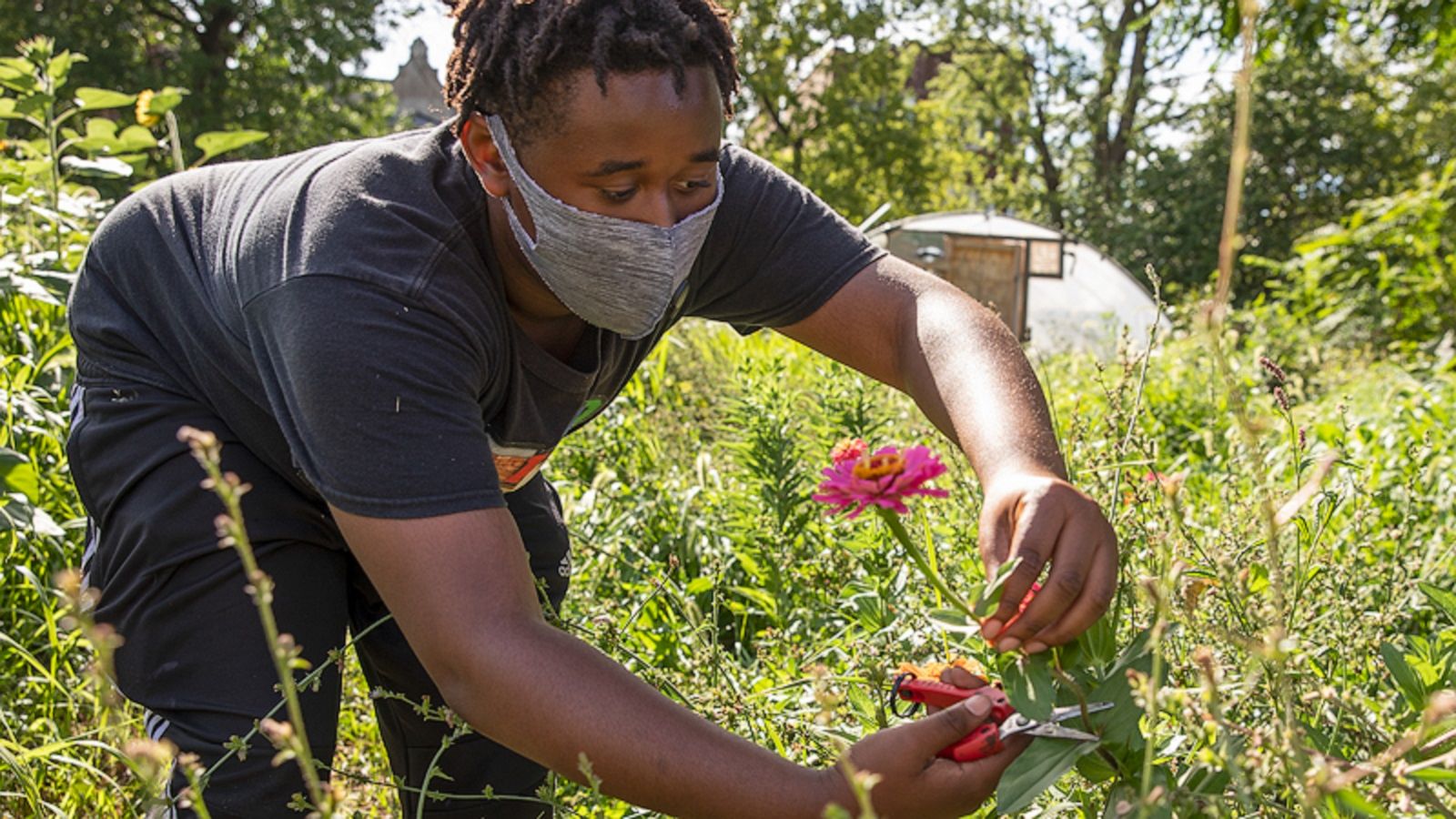 VIDEO: How one group is creating opportunities for Chicago youth through flowers