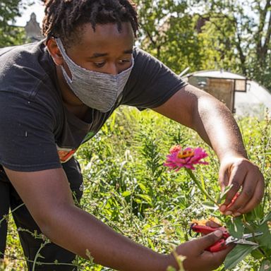 VIDEO: How one group is creating opportunities for Chicago youth through flowers