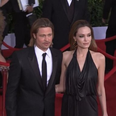 VIDEO: Brad Pitt sues Angelina Jolie for stake in winery