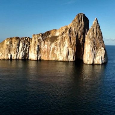 VIDEO: Up close look at Galapagos Islands