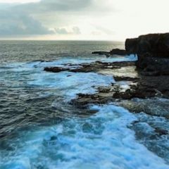 Climate change and the Galapagos Islands