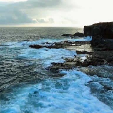 VIDEO: Climate change and the Galapagos Islands