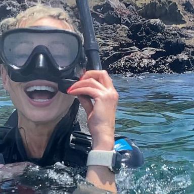 VIDEO: ‘GMA’s’ Amy Robach conquers fear, snorkels with sharks on last day in Galapagos