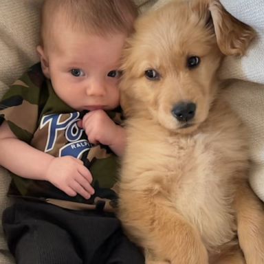 VIDEO: Baby and puppy are inseparable best friends