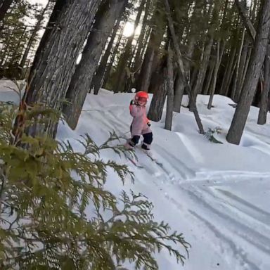 VIDEO: Mic'd-up toddler shares hilarious commentary while epically skiing through trees