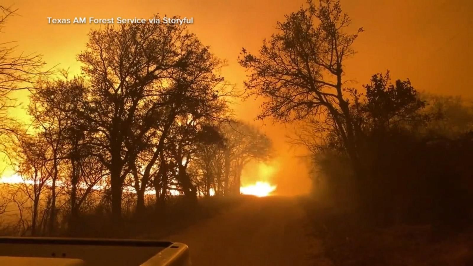 VIDEO: Deadly wildfires tear through Texas