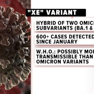 VIDEO: New COVID variant XE identified in UK