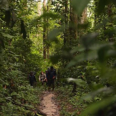 VIDEO: Exclusive 1st look at ‘Explorer: The Last Tepui’