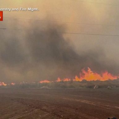 VIDEO: Arizona’s Tunnel wildfire engulfs over 20,000 acres 