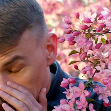 VIDEO: Springtime allergies vs. COVID-19