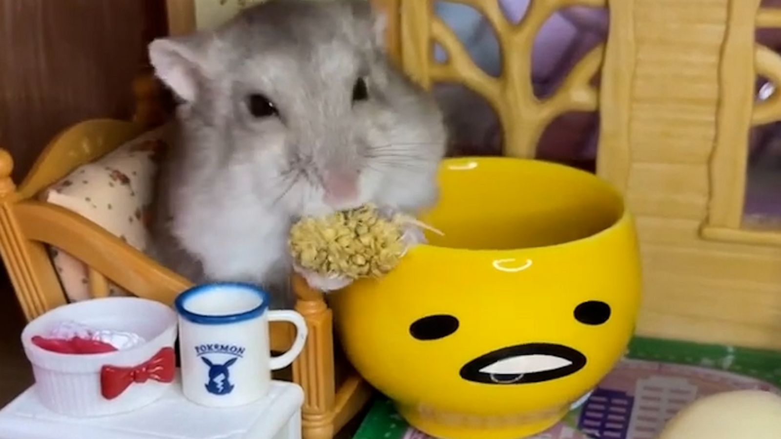 VIDEO: This hamster has zero table manners