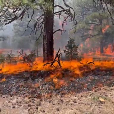 VIDEO: Wildfires growing in southwest