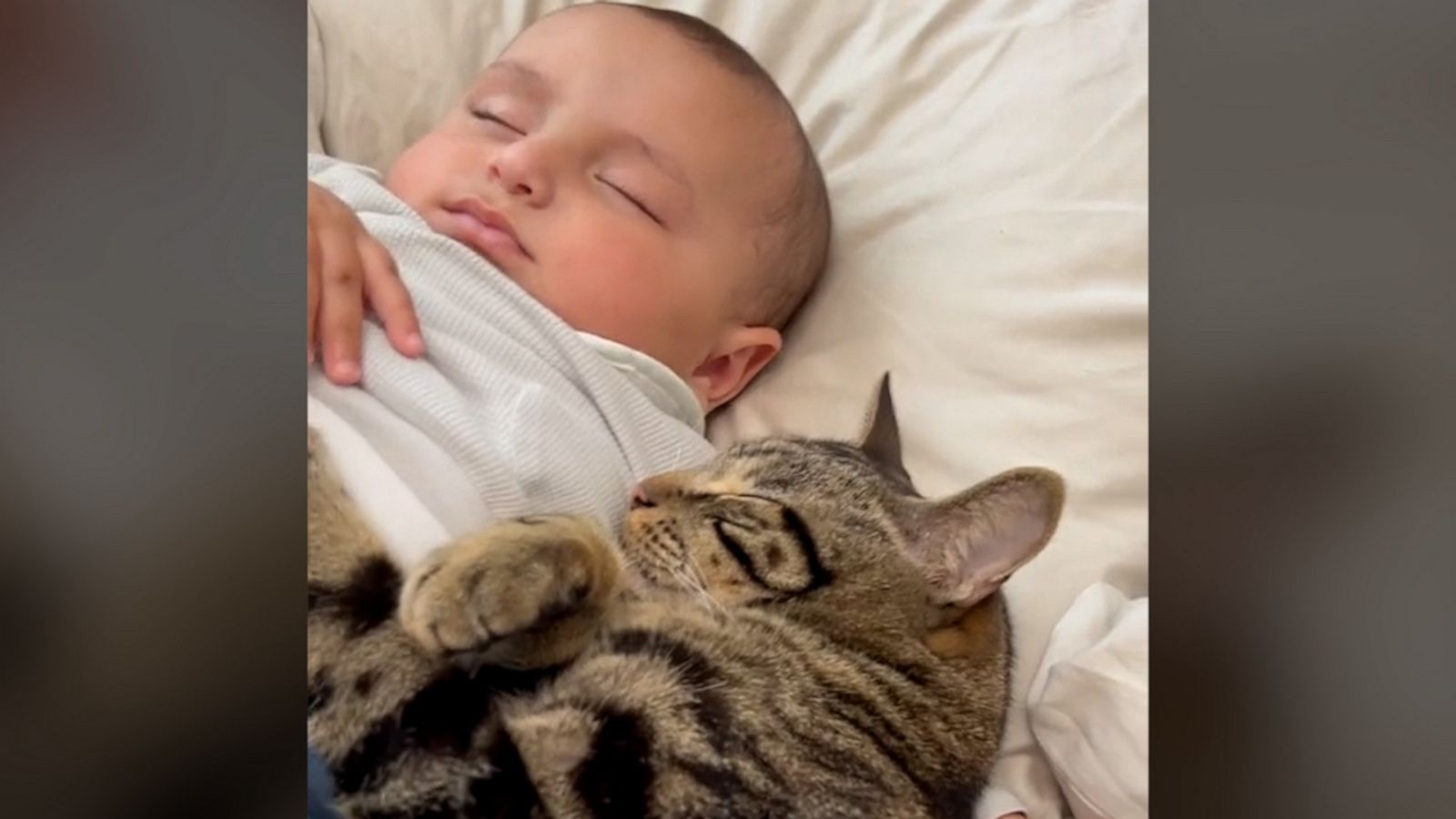 VIDEO: I think the cat and the baby are getting along just fine...