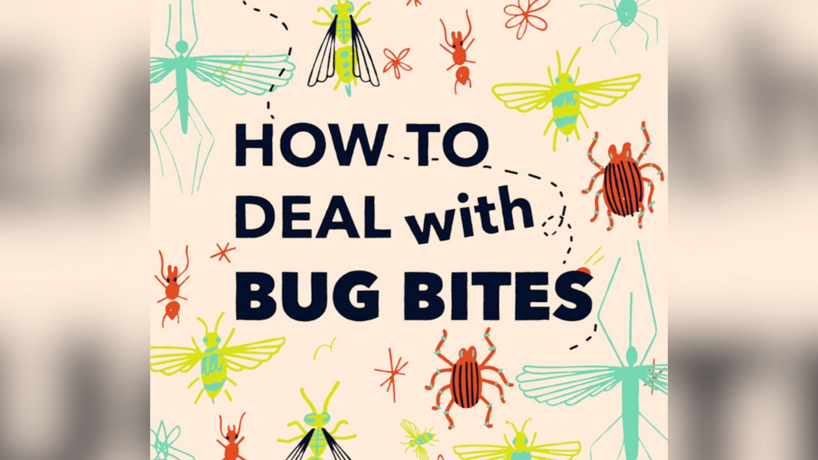 VIDEO: How to deal with bug bites