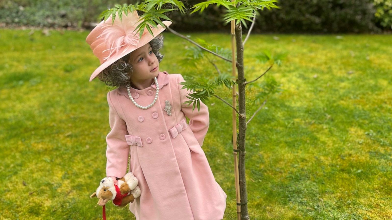 VIDEO: 3-year-old girl nails Queen Elizabeth impression