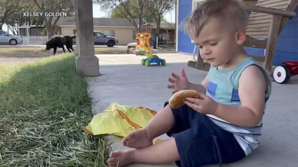 2-year-old orders 31 cheeseburgers via DoorDash after taking mom’s phone
