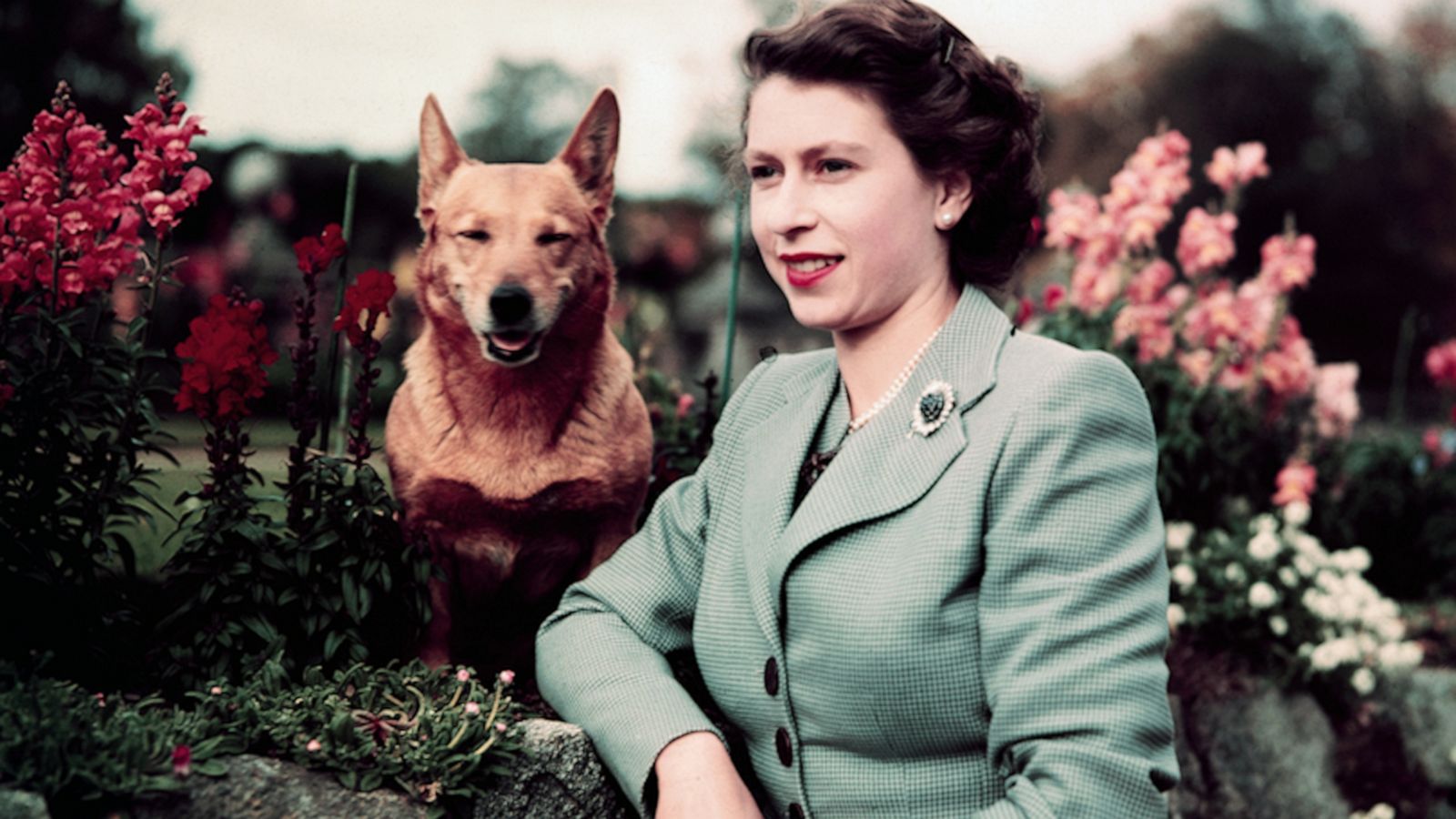 VIDEO: A brief, adorable history of Queen Elizabeth II’s royal corgis