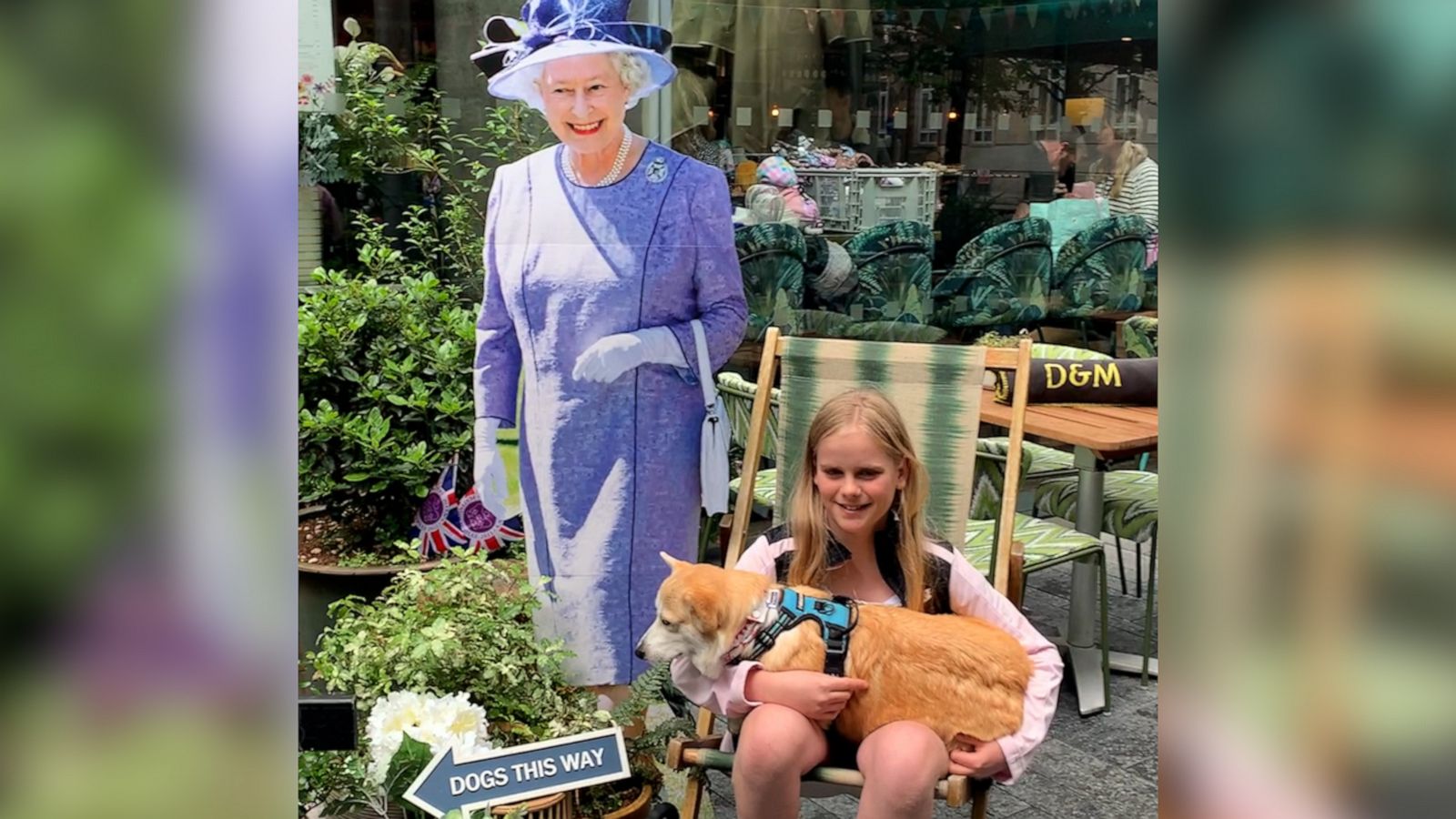 VIDEO: Please enjoy this royally adorable ‘Corgi Cafe’