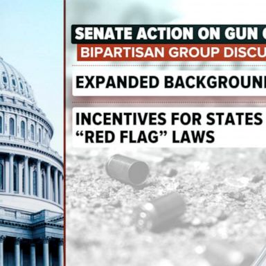 VIDEO: Bipartisan lawmakers push for action on gun control measures