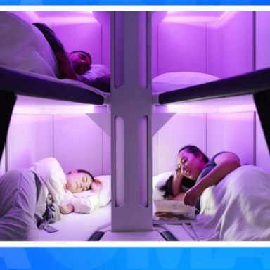 VIDEO: Airline unveils bunk beds for economy passengers