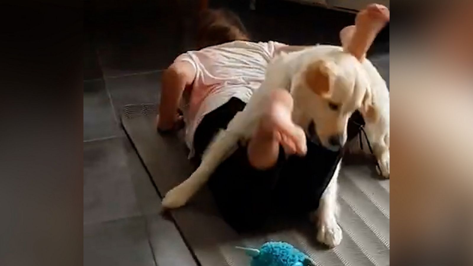 VIDEO: Dog joins girl during yoga workout