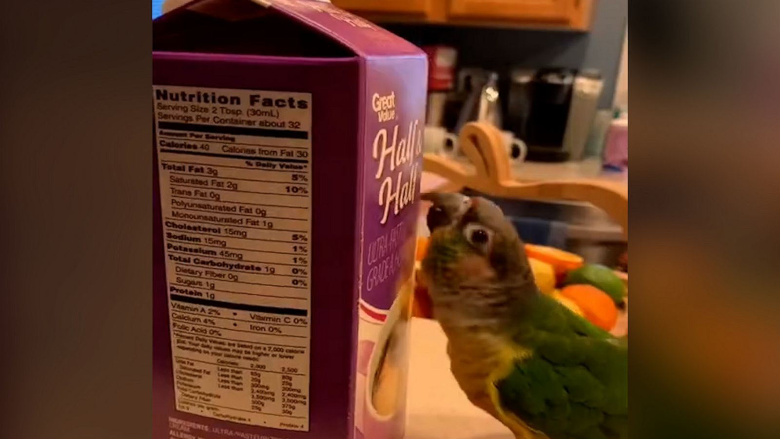 VIDEO: You have to listen to what life is like with this parrot