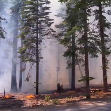 VIDEO: Wildfire threatens Yosemite National Park