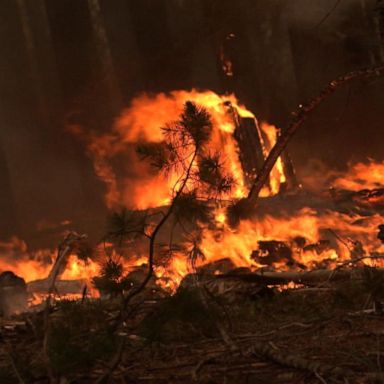 VIDEO: Wildfire rages near Yosemite National Park