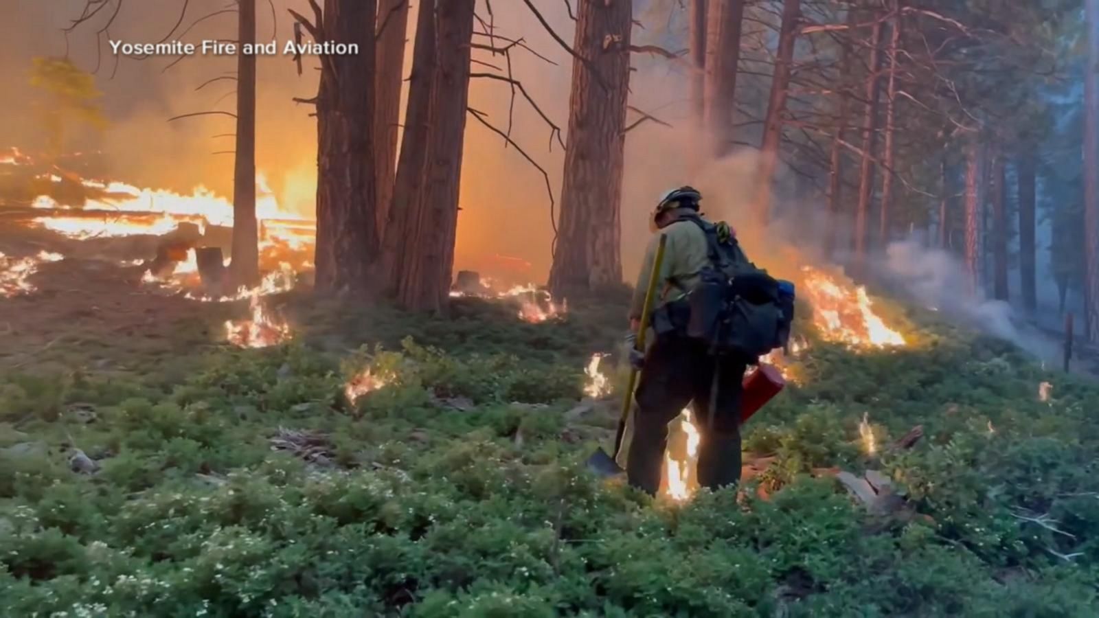 VIDEO: Washburn Fire rages through California's Yosemite National Park