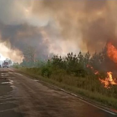 VIDEO: Wildfires and deadly heatwave sweep across Europe