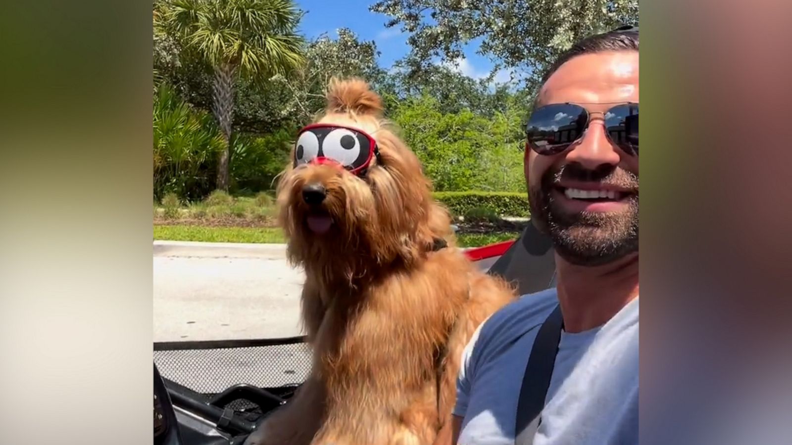 VIDEO: This man and his fluffy goldendoodle are redefining friendship goals