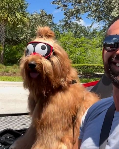 This man and his fluffy goldendoodle are redefining friendship goals