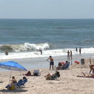 VIDEO: Shark sightings temporarily shut down popular New York beaches