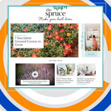 VIDEO: Expert talks indoor gardening